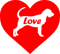 italian bloodhound-red